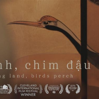 Phim ‘Đất Lành Chim Đậu’: Những Vết Thương Chiến Tranh Khó Lành – Doãn Hưng