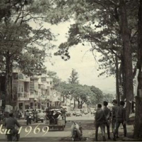 Pleiku: Tháng Ba, nỗi nhớ quay về - Thu Đào