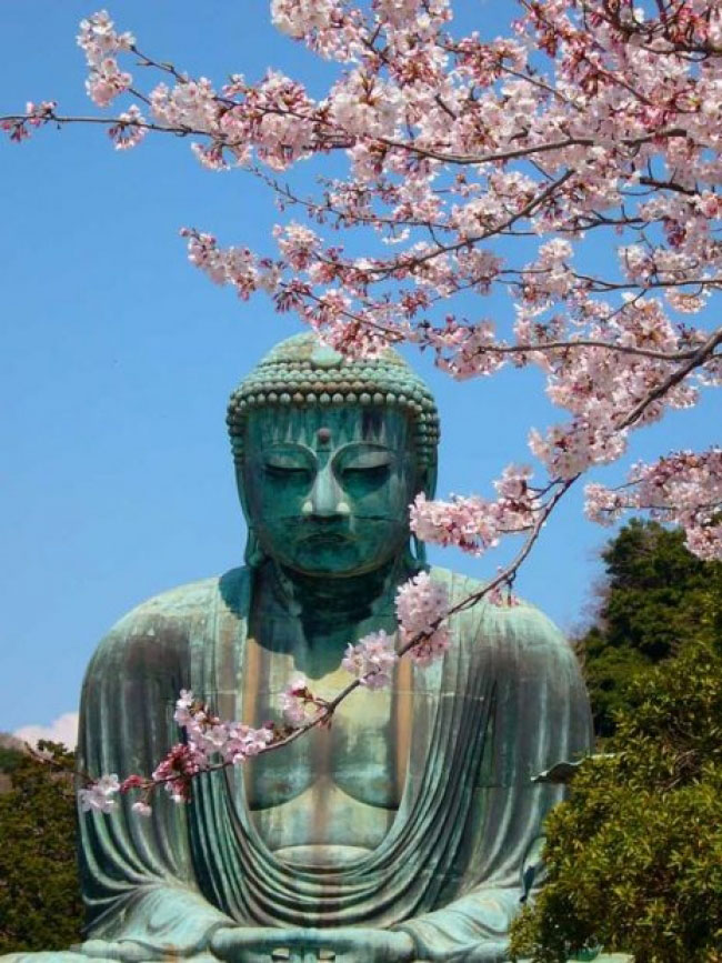 Đạo Phật Nhật Bản: du nhập và phát triển